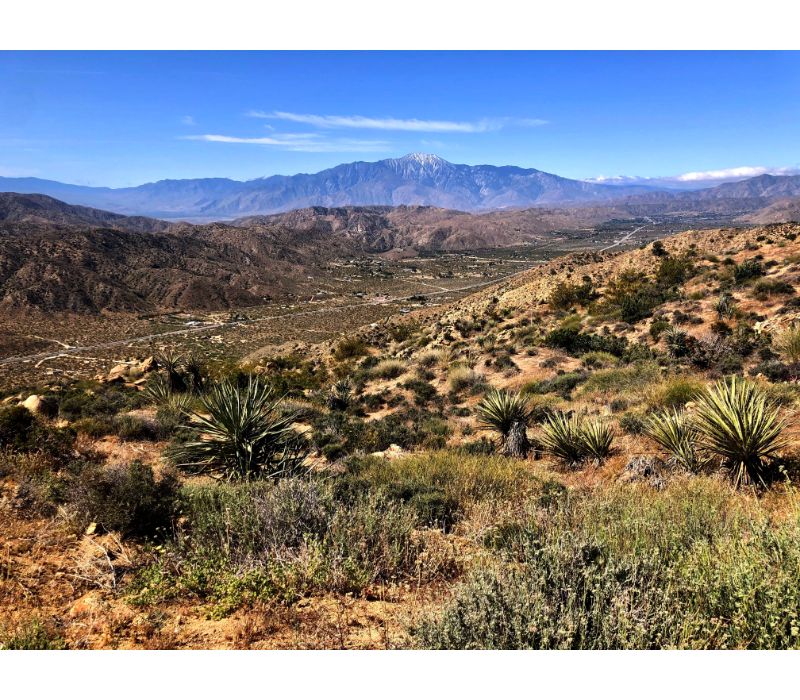 Morongo Valley